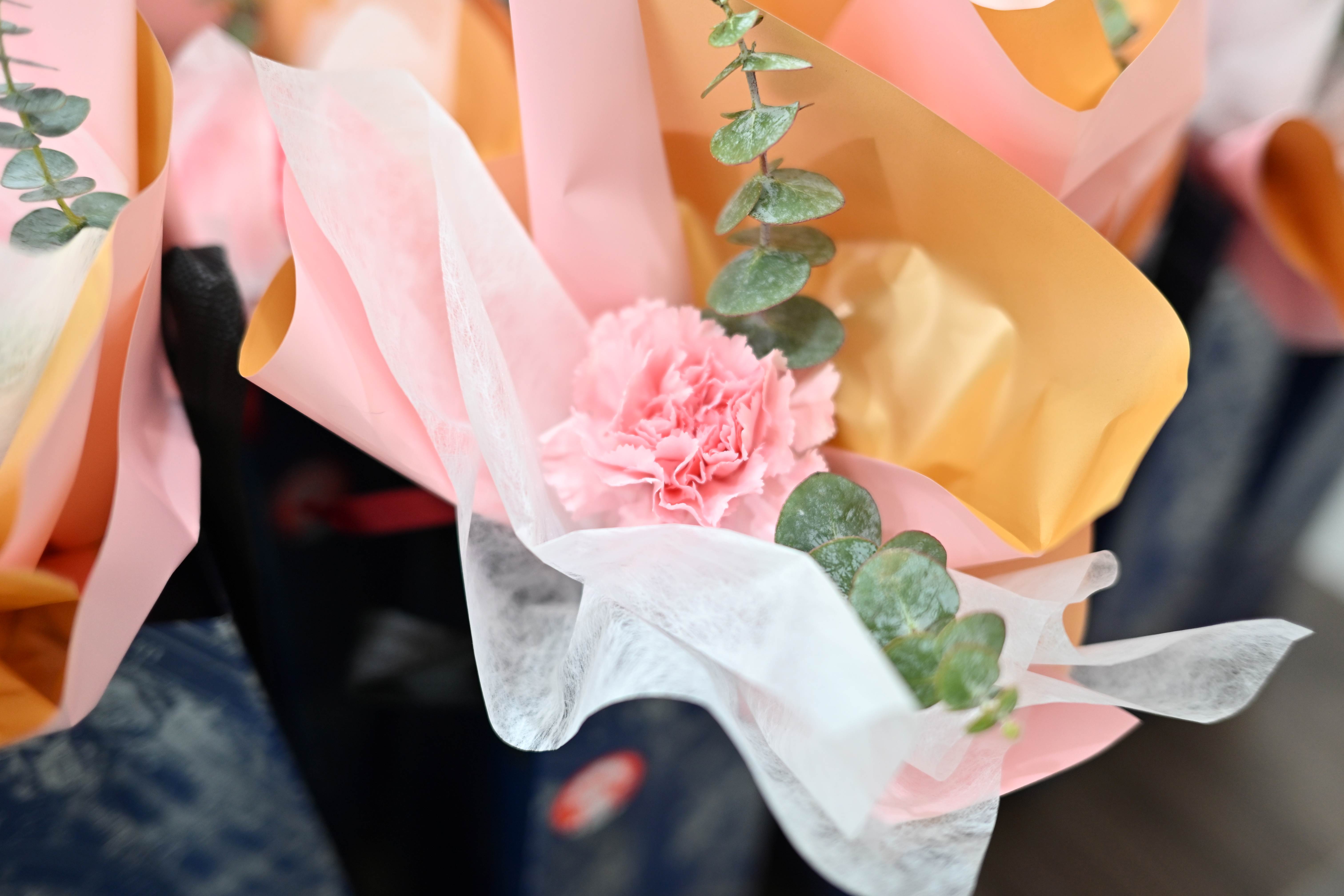 致敬她力量 · 国际妇女节